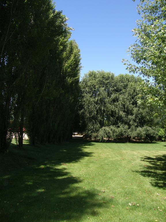 Agriturismo Greppi Crescentino المظهر الخارجي الصورة