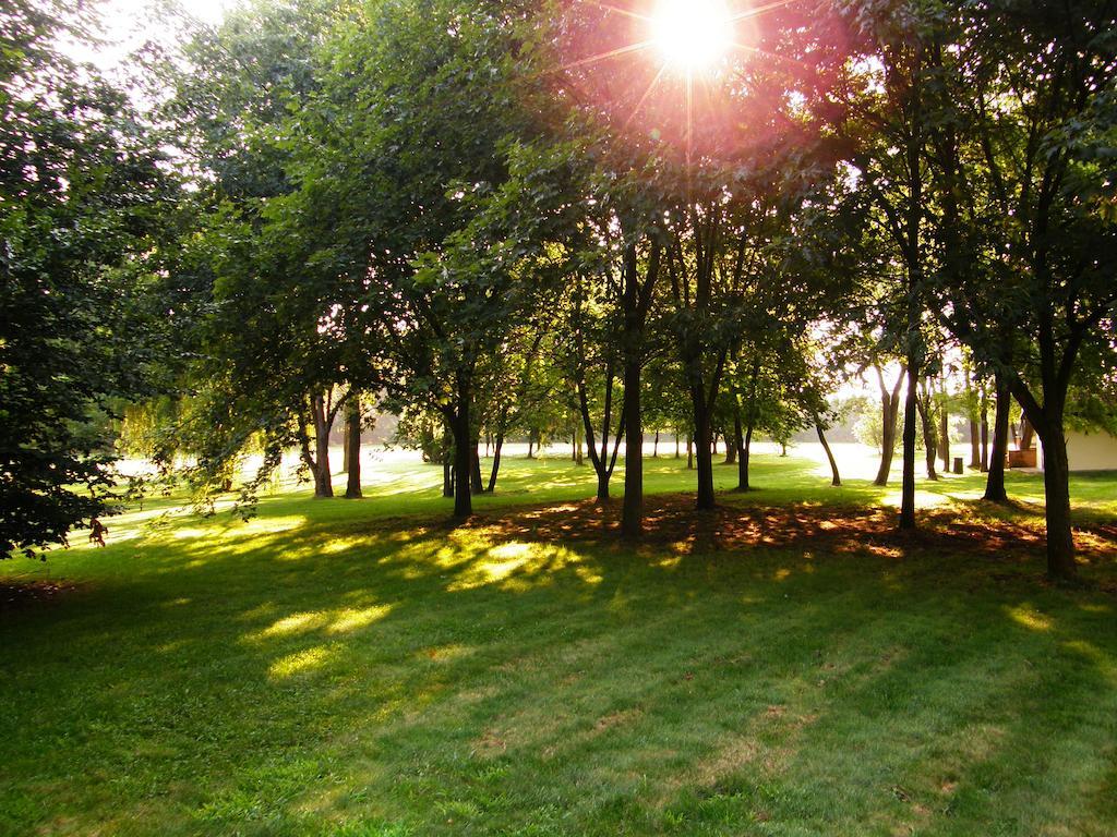 Agriturismo Greppi Crescentino الغرفة الصورة